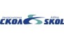 Скол Авиакомпания